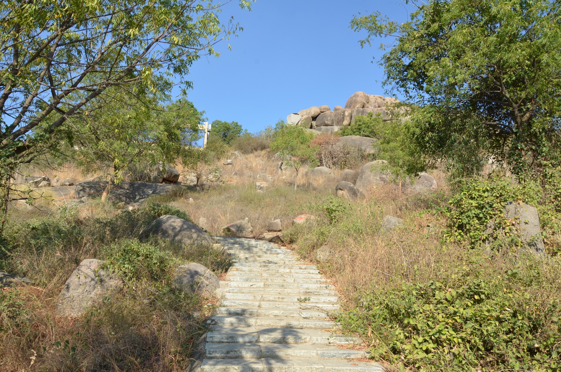 Durgam Cheruvu Secret Lake cover