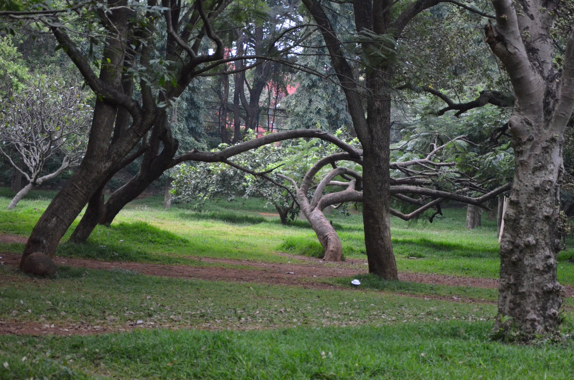 Park Garden cover