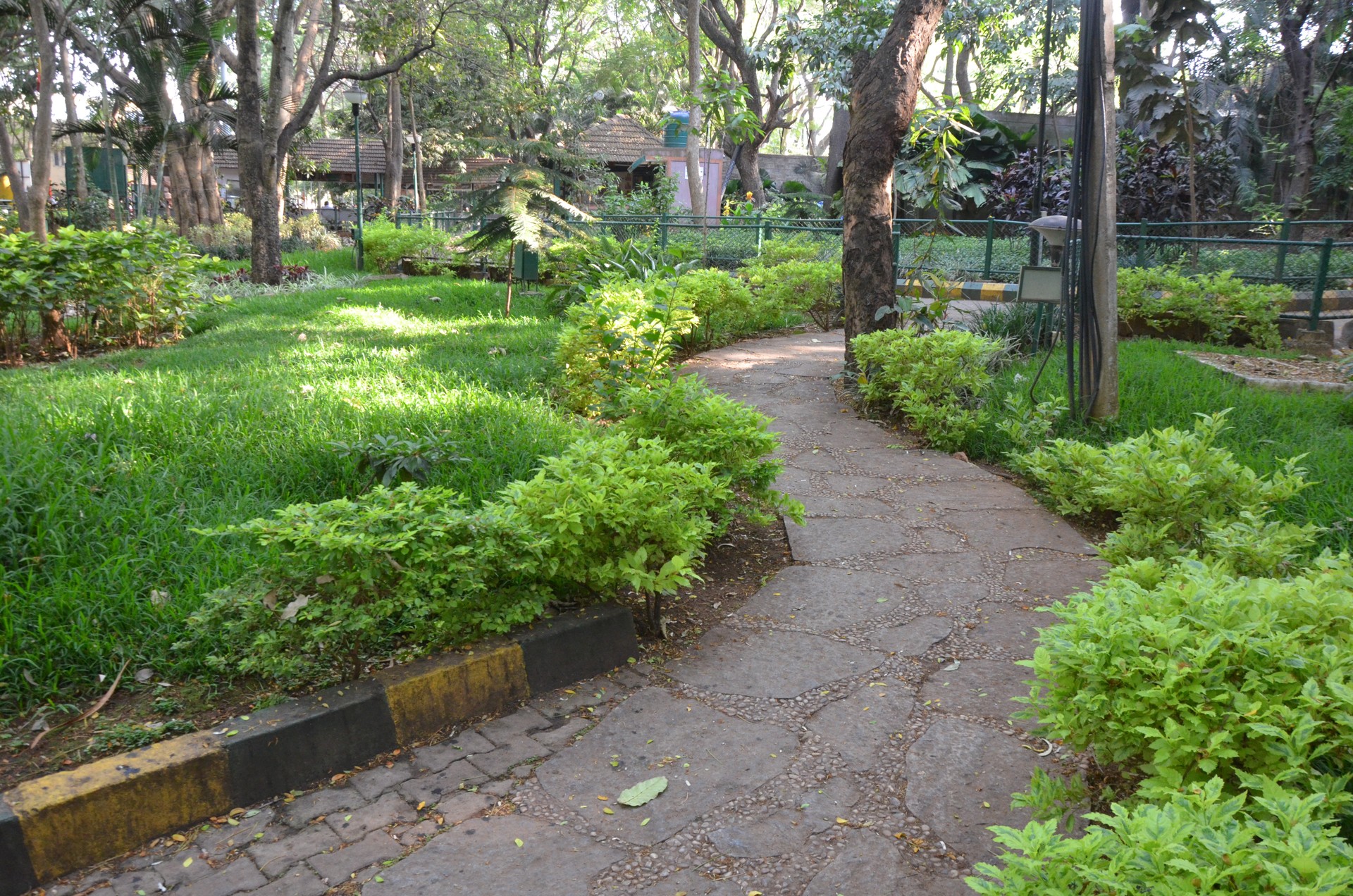 M N Krishna Rao Park cover