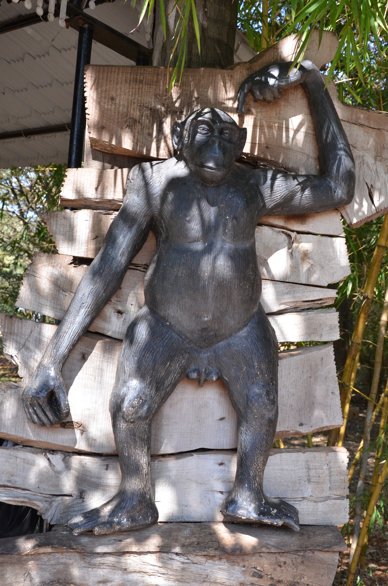 Mysore Zoo Zoological Garden 1 cover