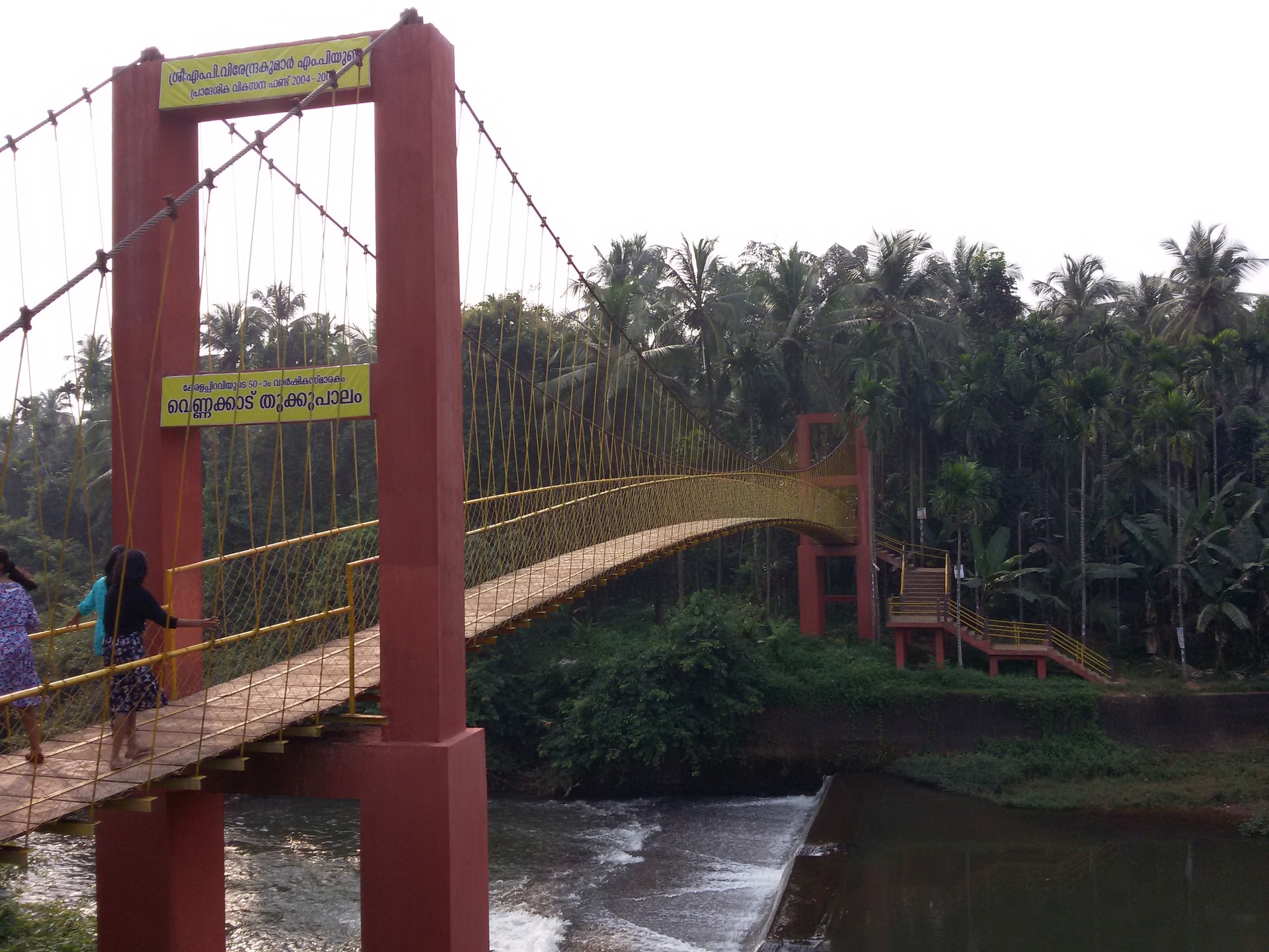 Hanging Foot Bridges cover