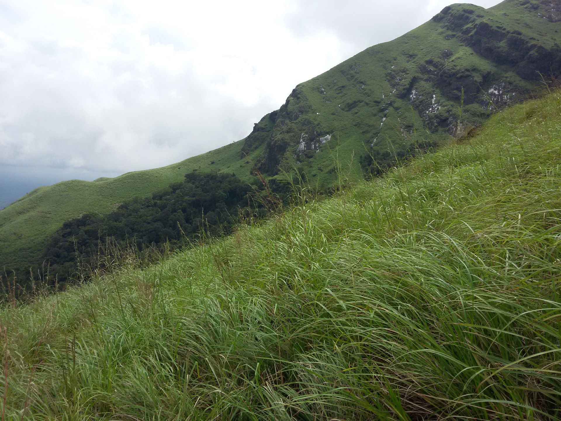 Chembra Peak Heart Lake cover