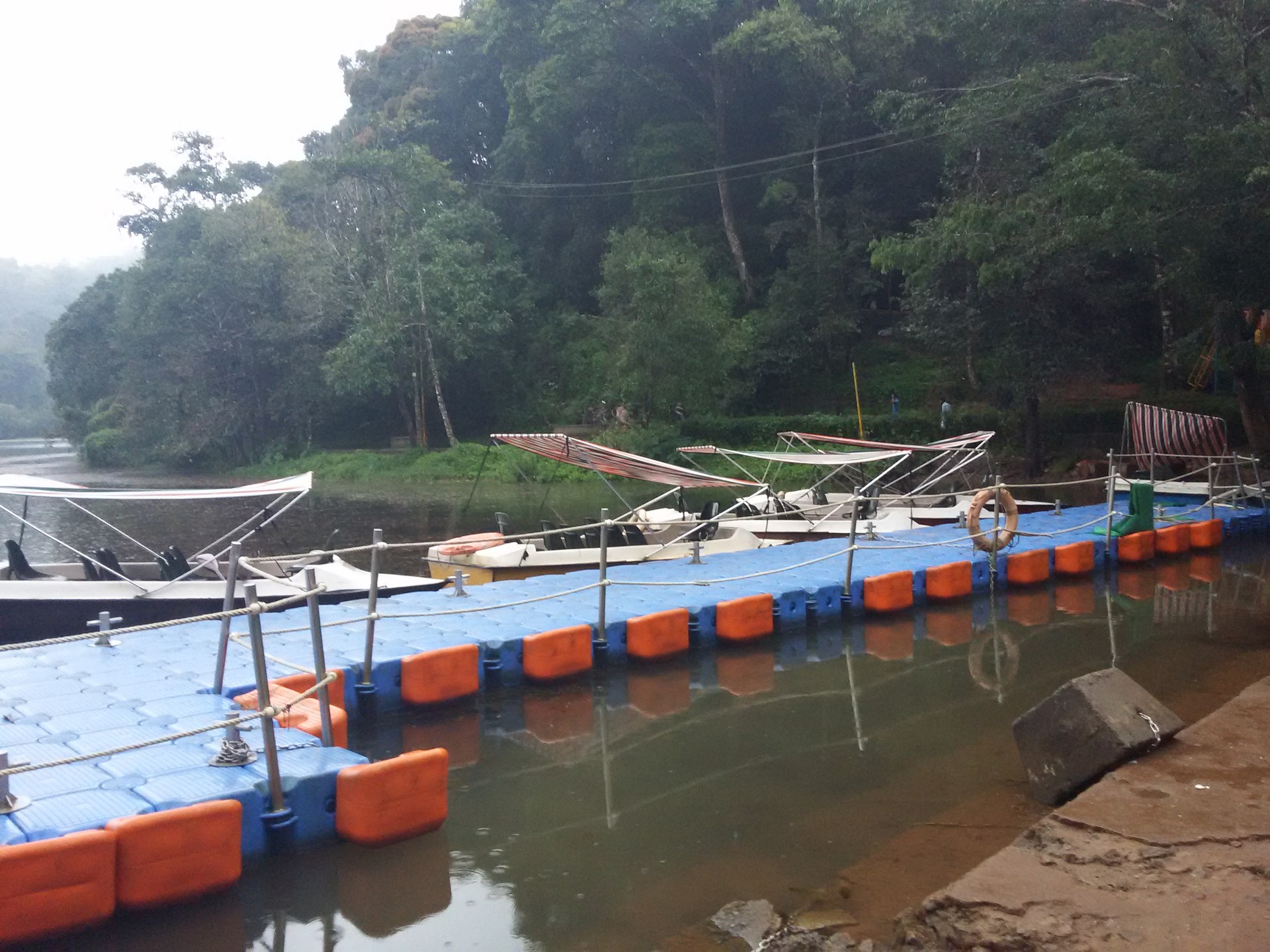 Pookode Lake cover