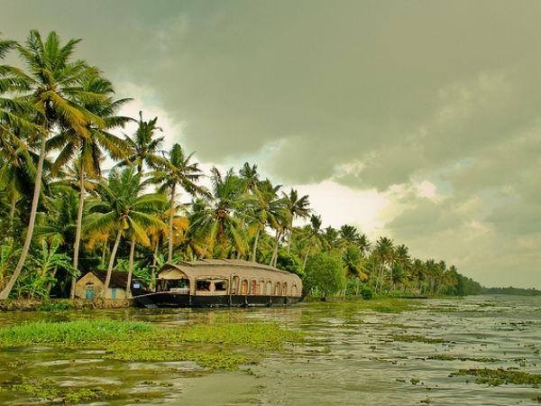 Gods Own Country 14 cover