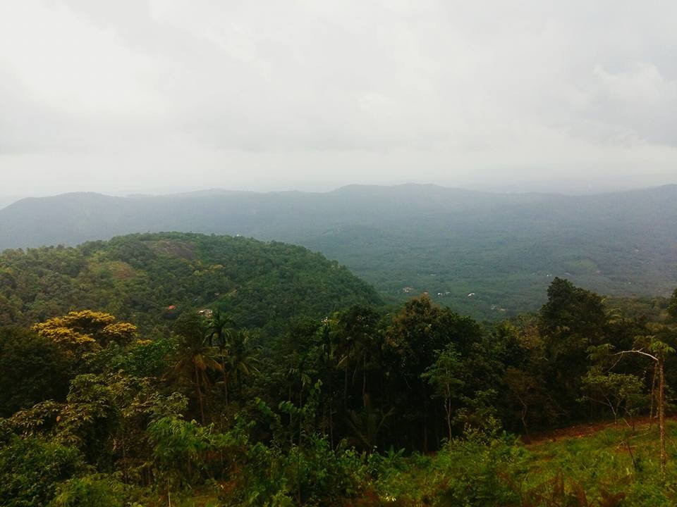 Gods Own Country 15 cover