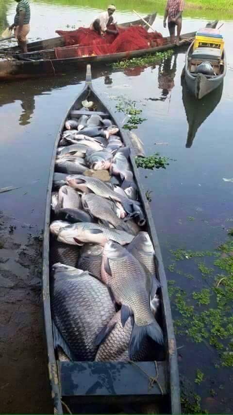 Gods Own Country 8 cover