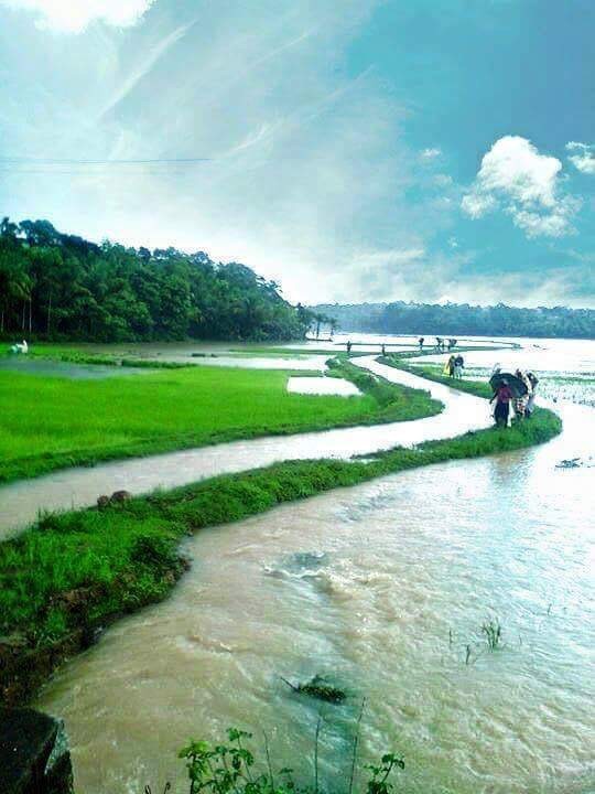 Gods Own Country 9 cover