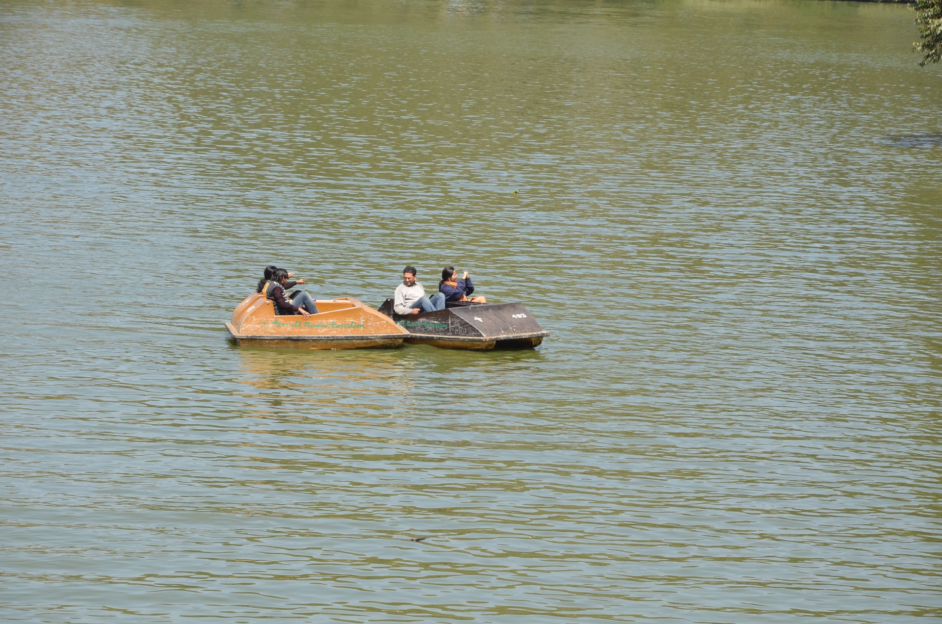 Honeymoon Boat House Ooty cover