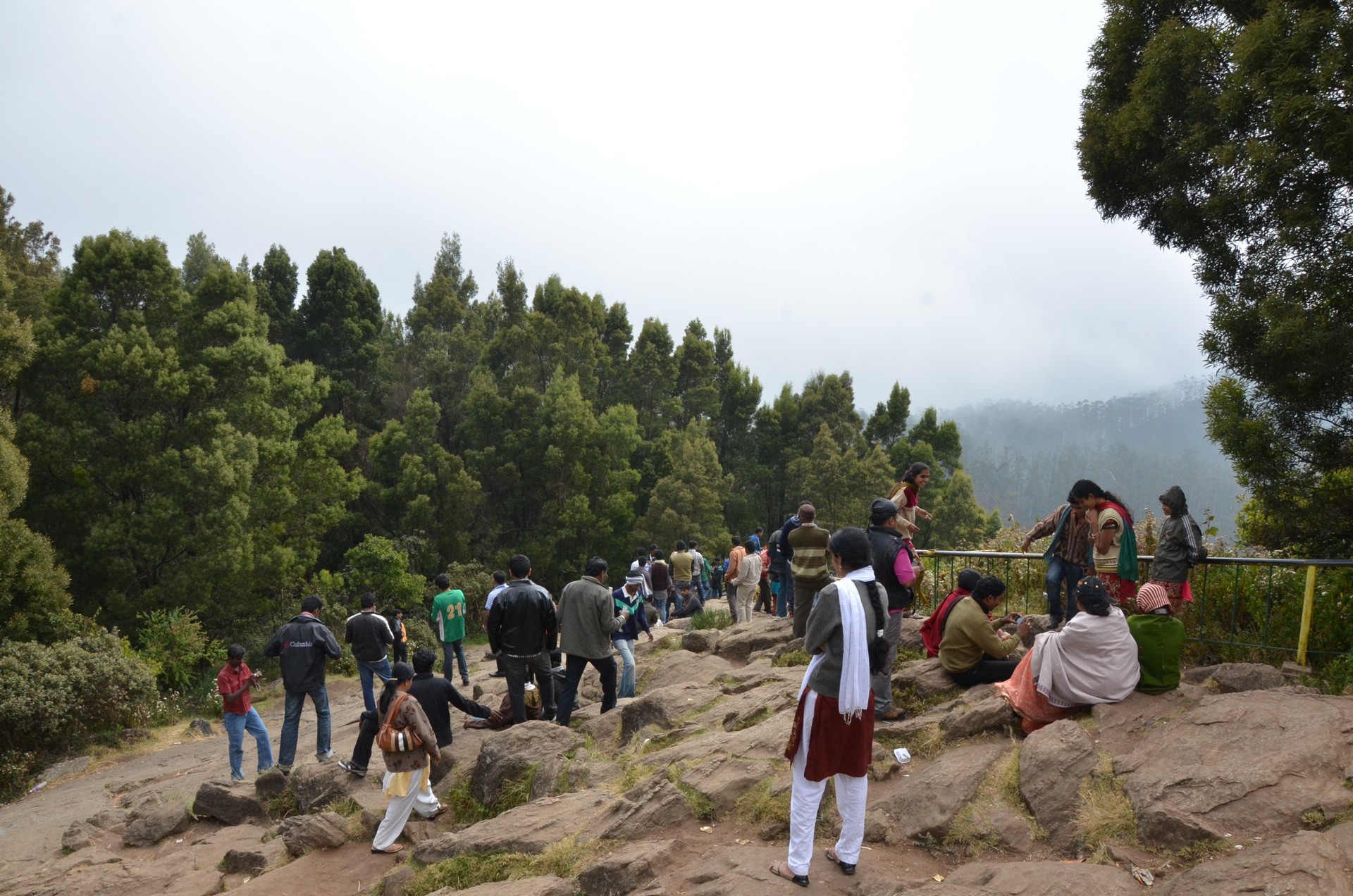 Doddabetta Peak Ooty cover