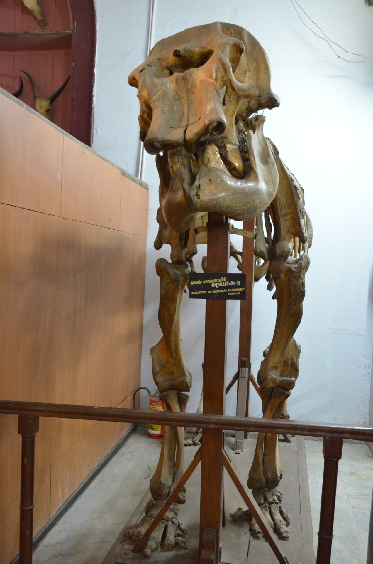 Government Museum Chennai 1 cover