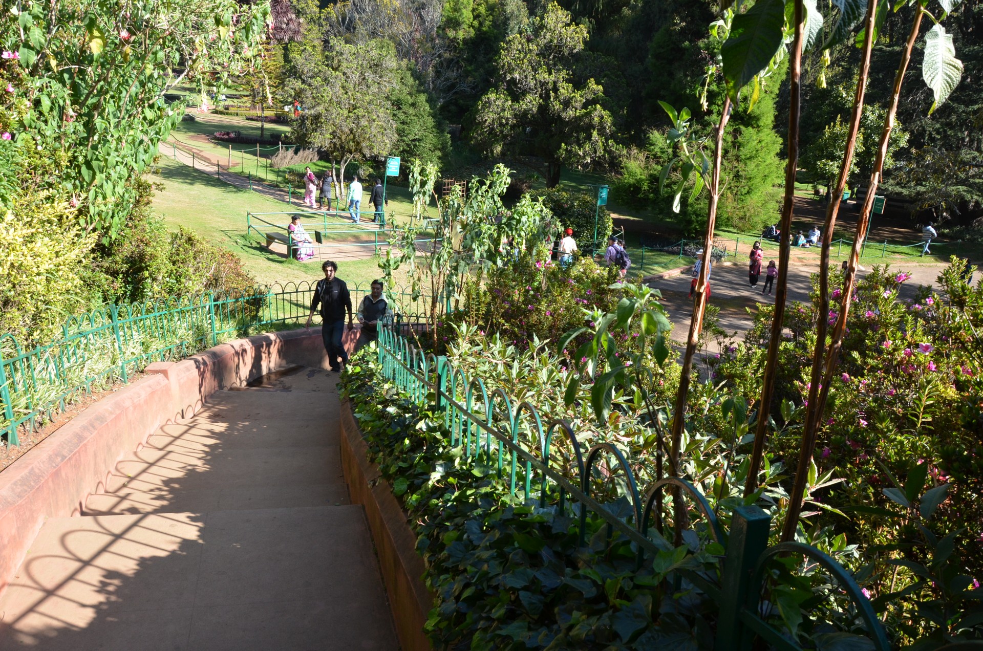 Govt Botanical Gardens Ooty cover