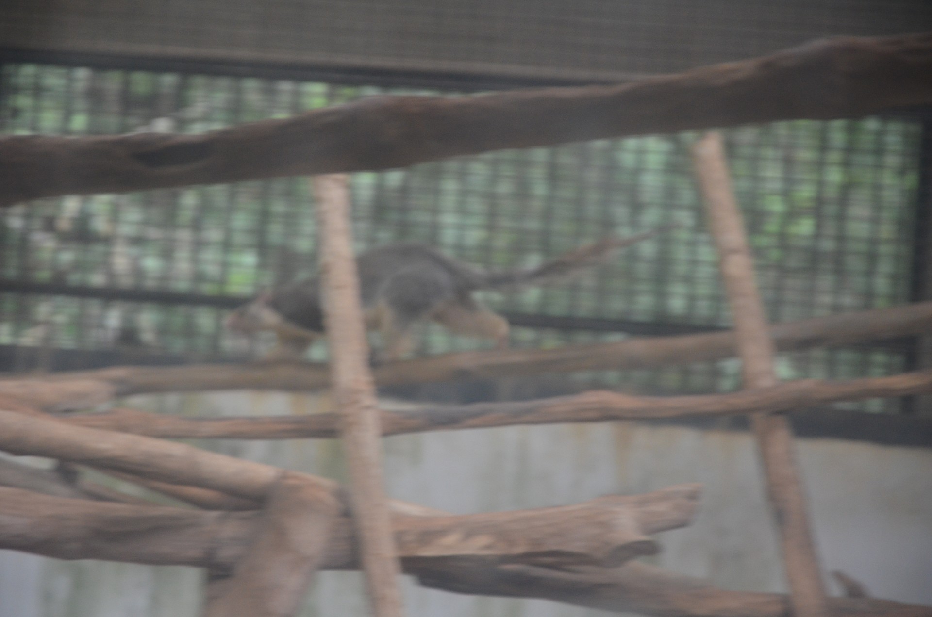 Arignar Anna Zoological Park 1 cover