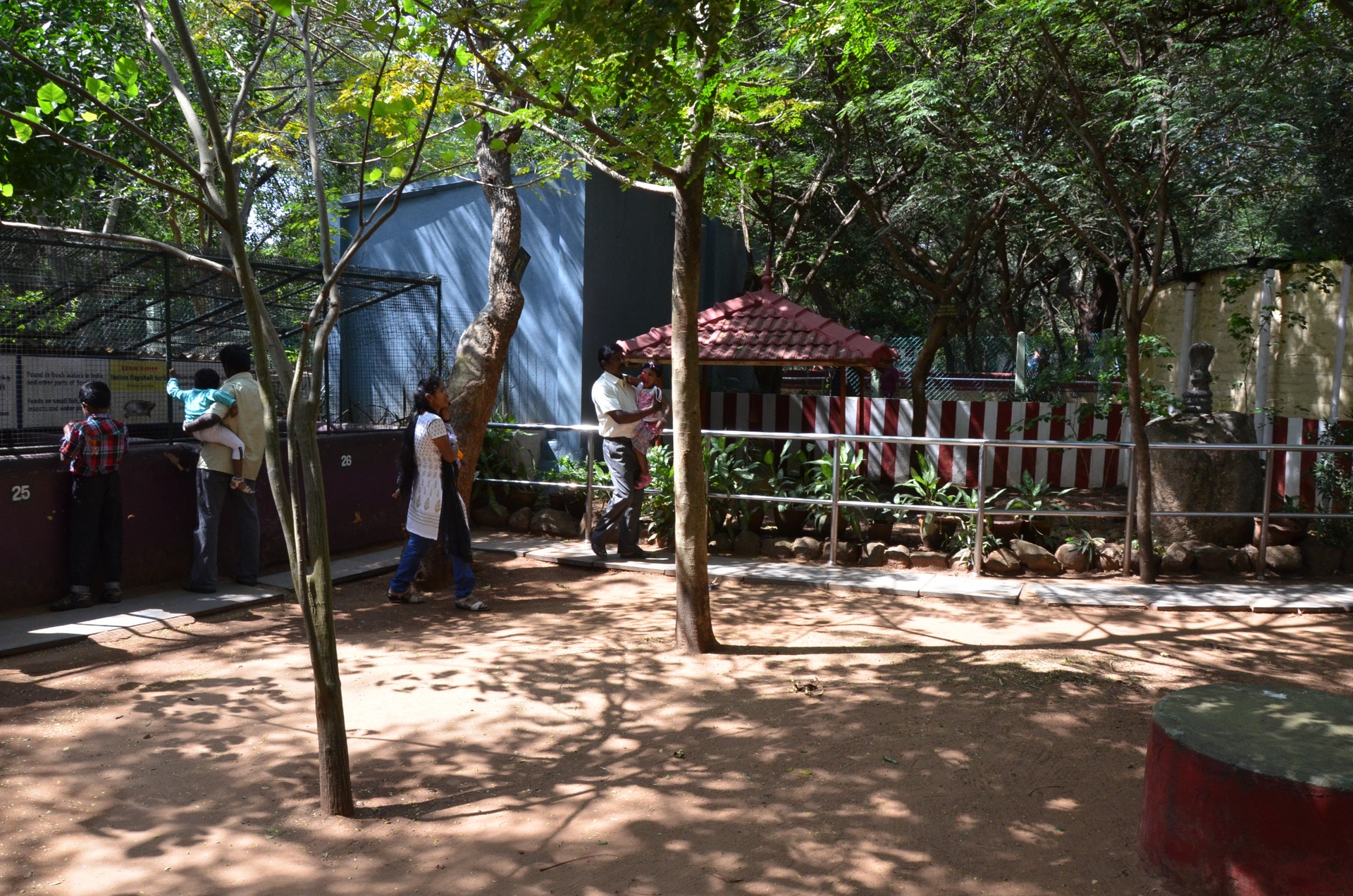 Chennai Snake Park Guindy cover