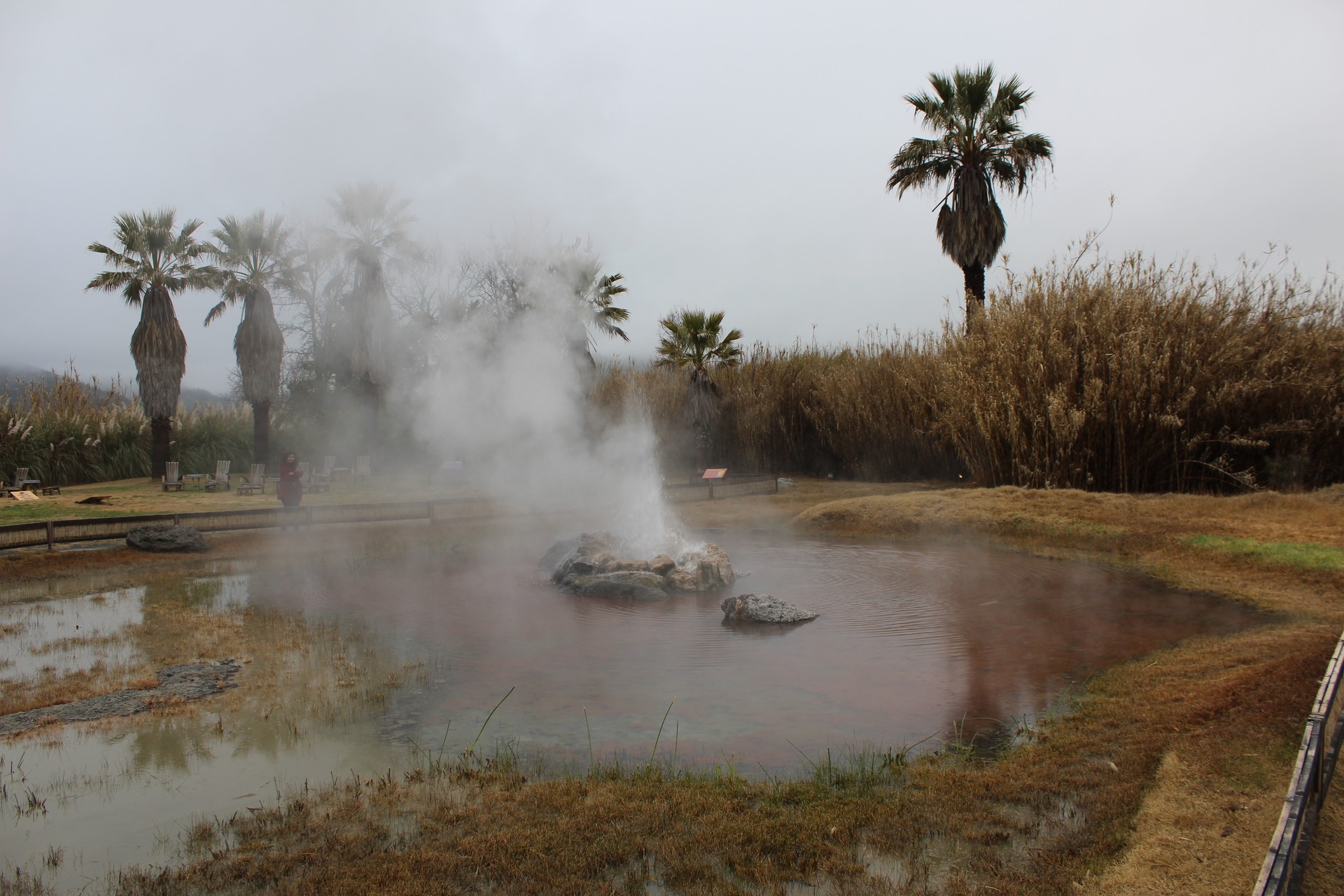Old Faithful Geyser California cover