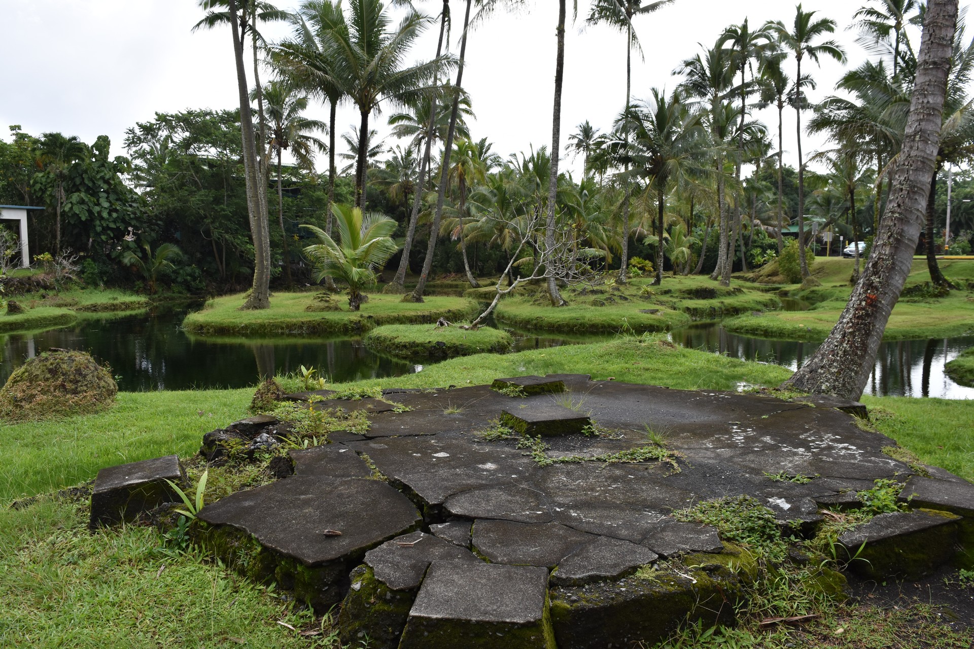 Punaluu Black Sand Beach cover