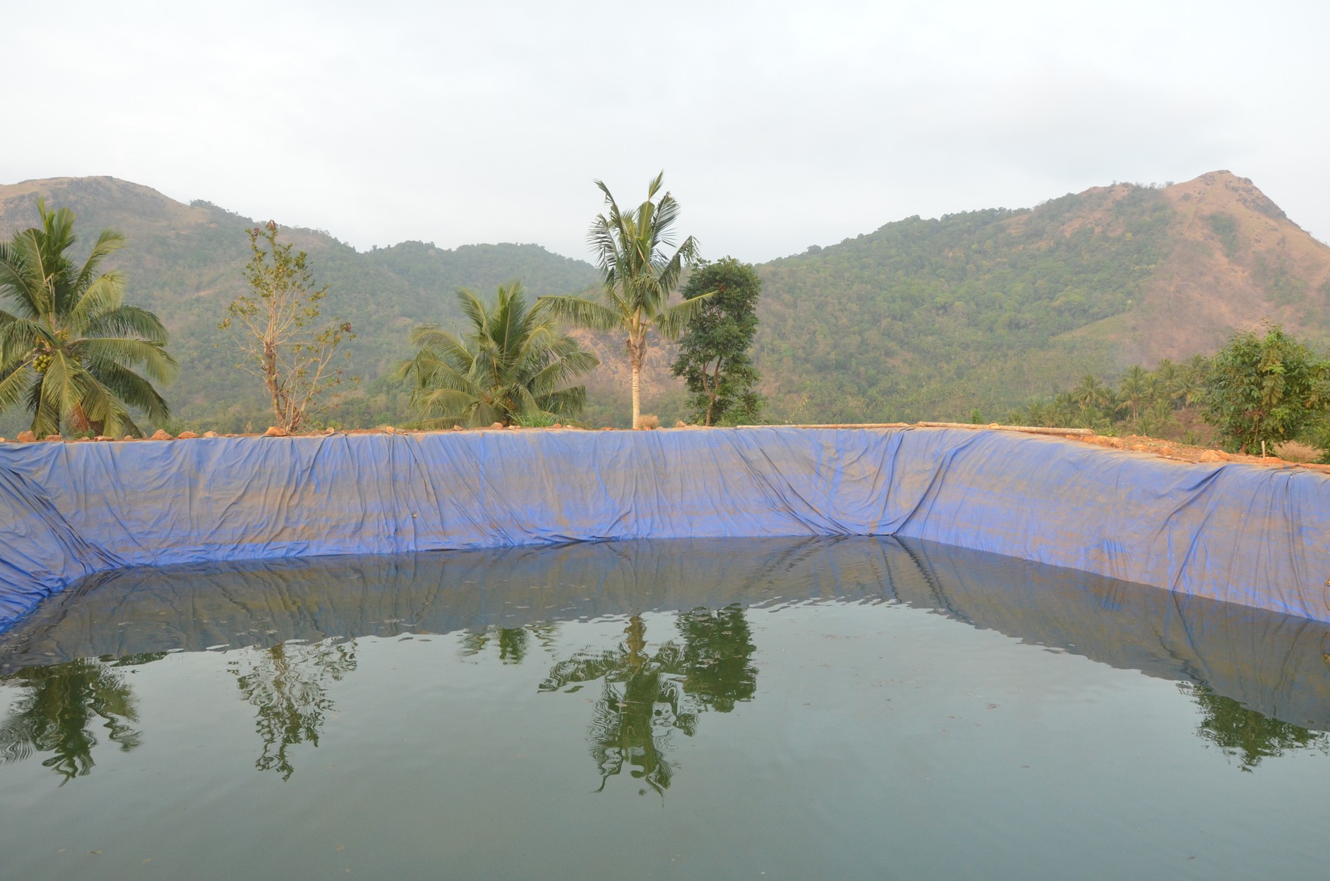 Thayyeni Hill Top archive cover