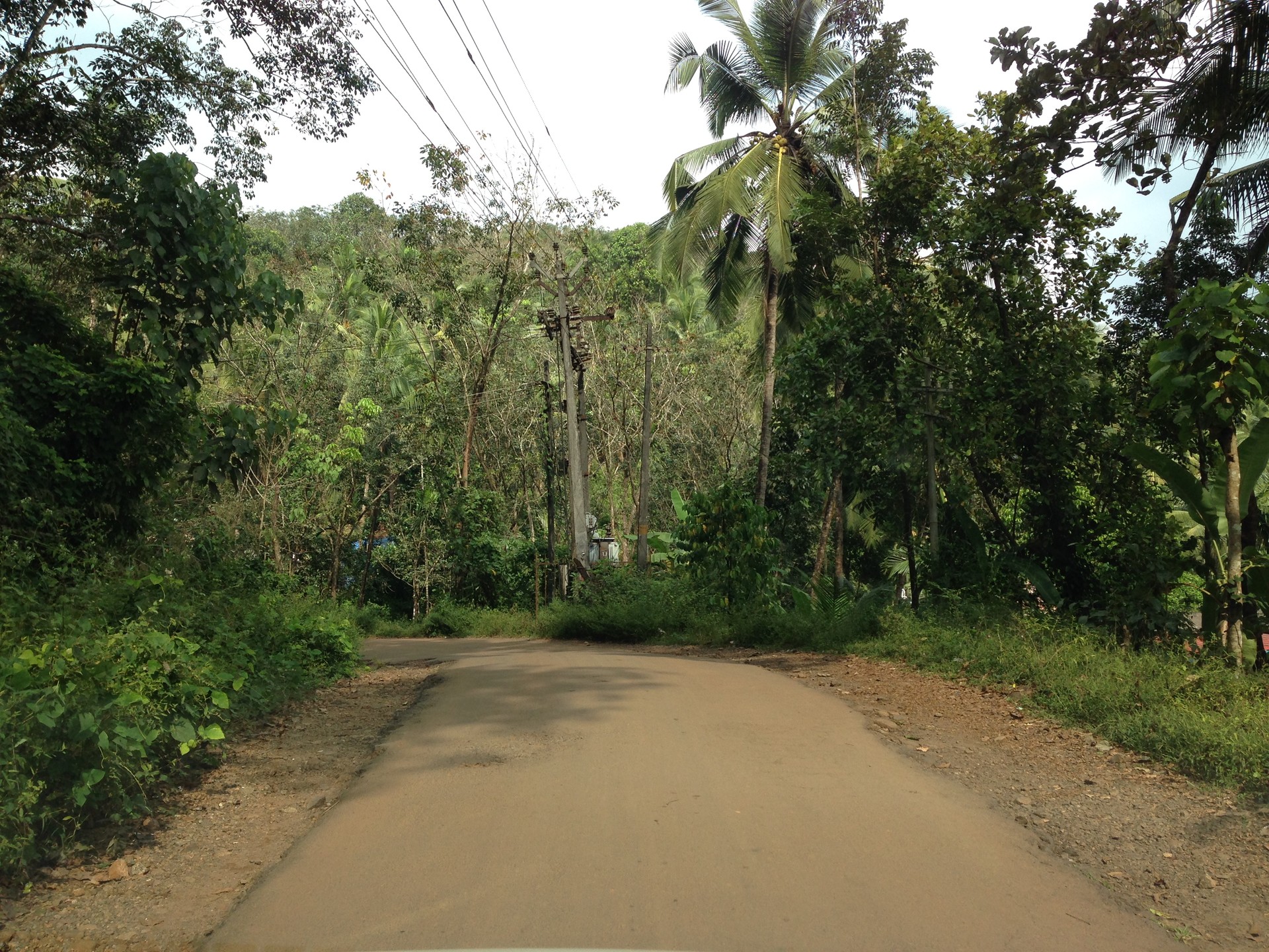 Palavayal — Part III archive cover
