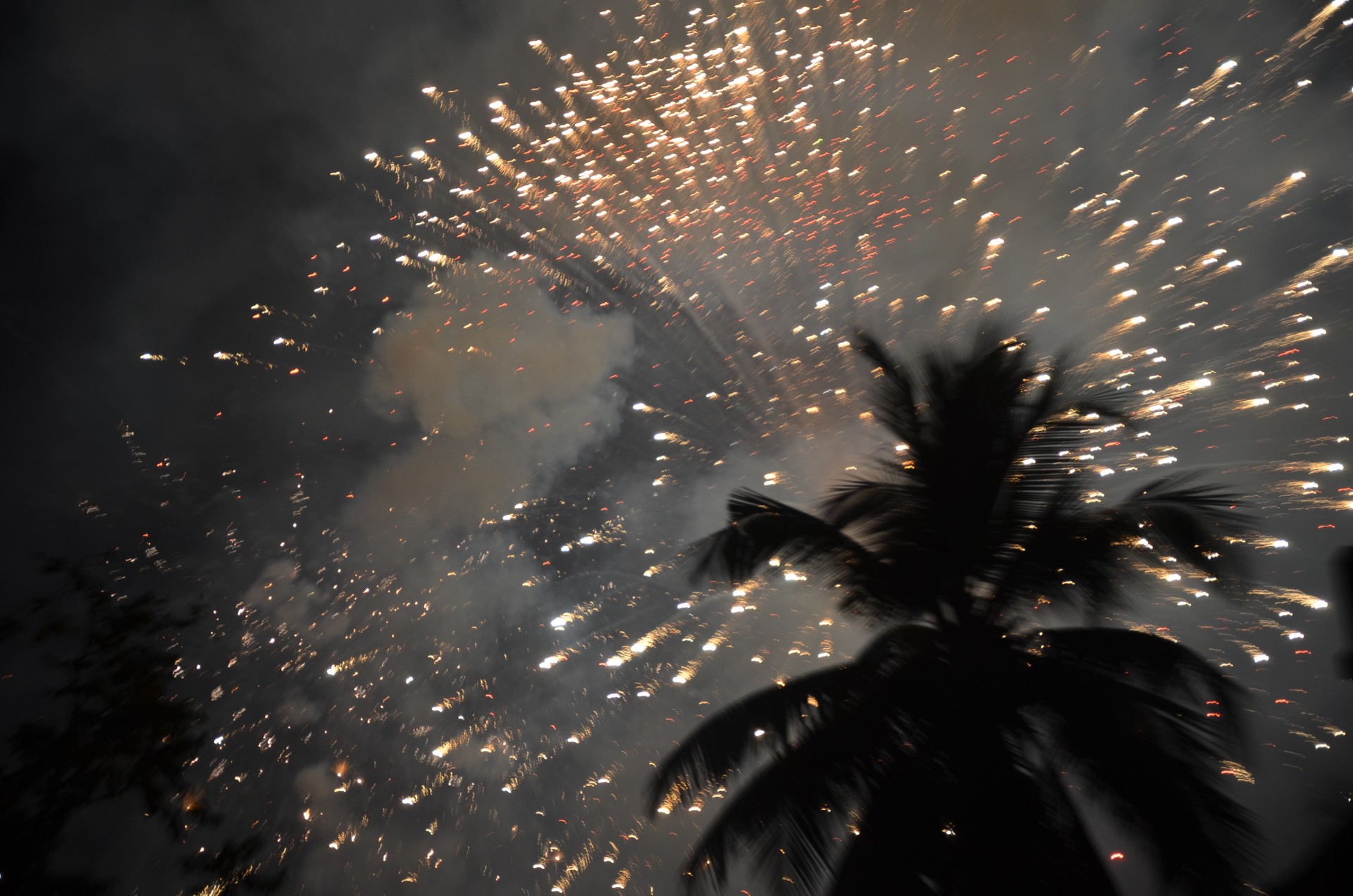 Festival Fireworks archive cover
