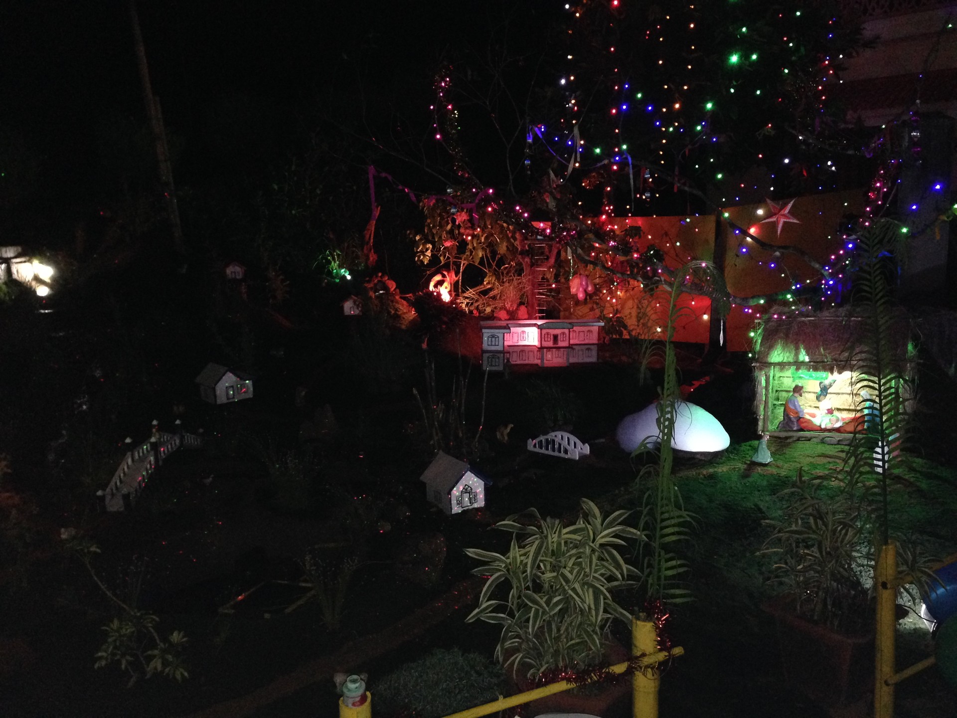 Christmas Crib archive cover