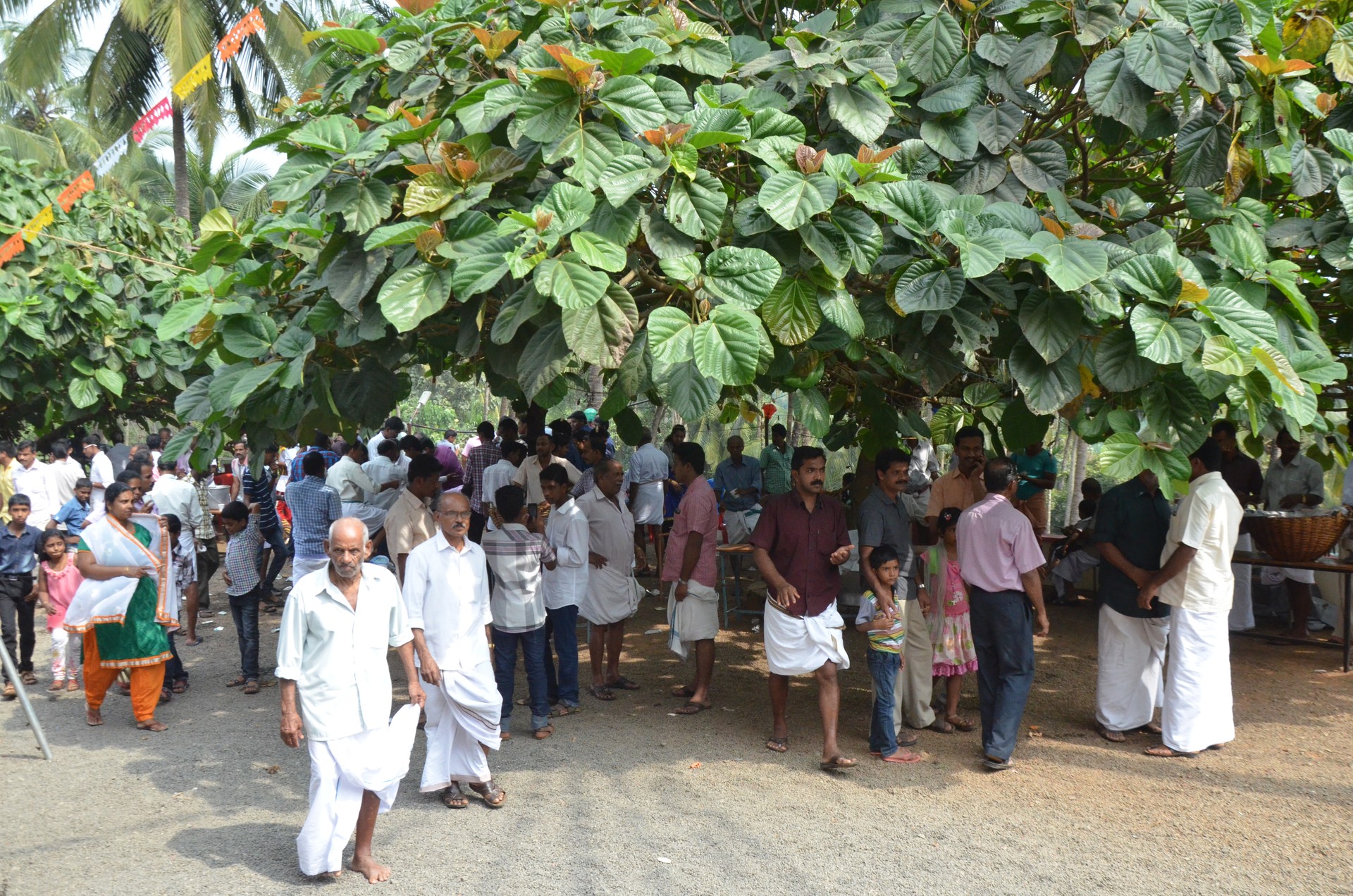 St. John's Snehavirunnu archive cover