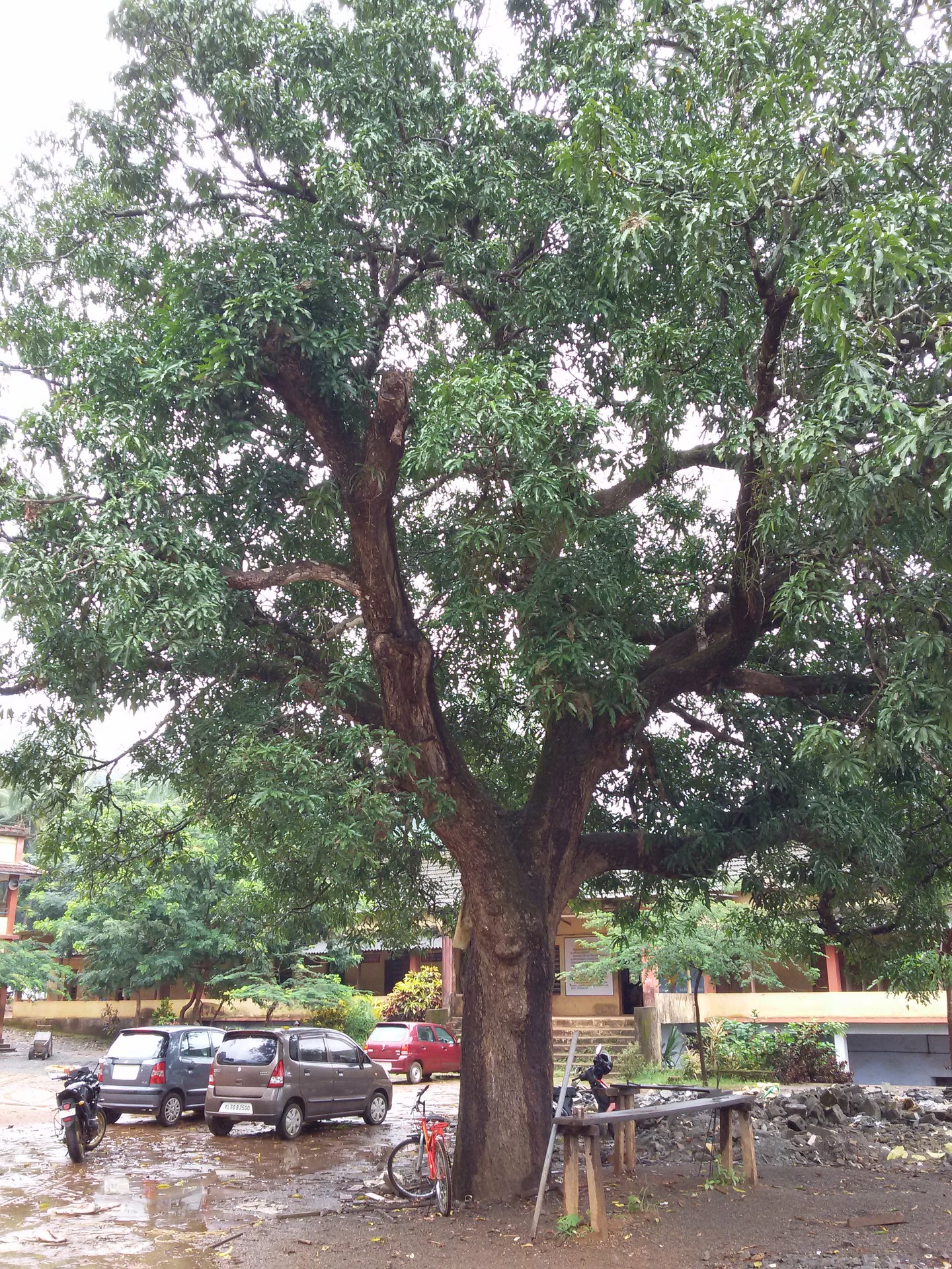 St. John's Higher Secondary — 20150927_141533