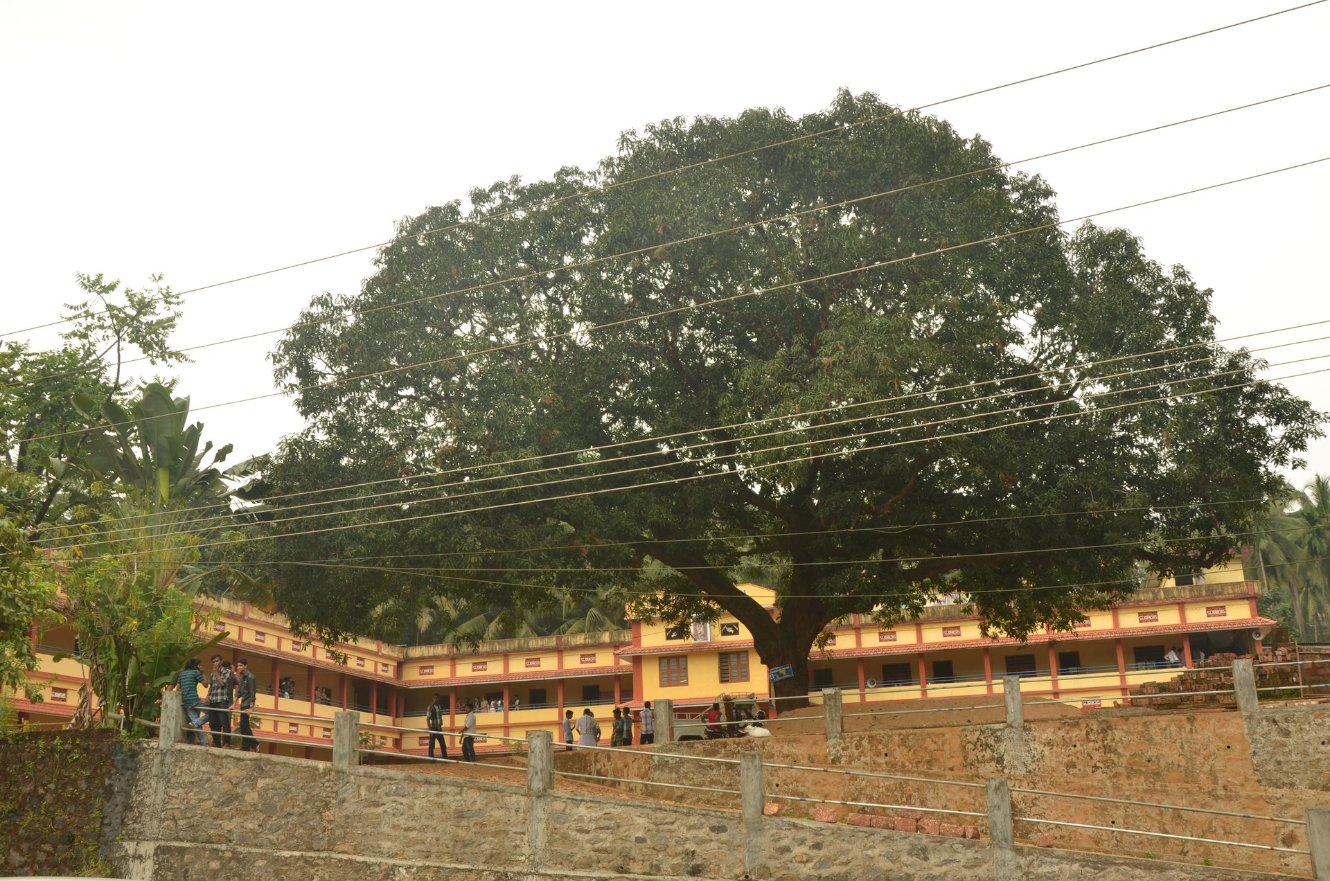 St. John's Higher Secondary — DSC_2743