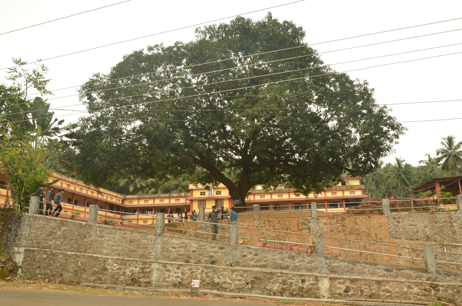 St. John's Higher Secondary — DSC_2744