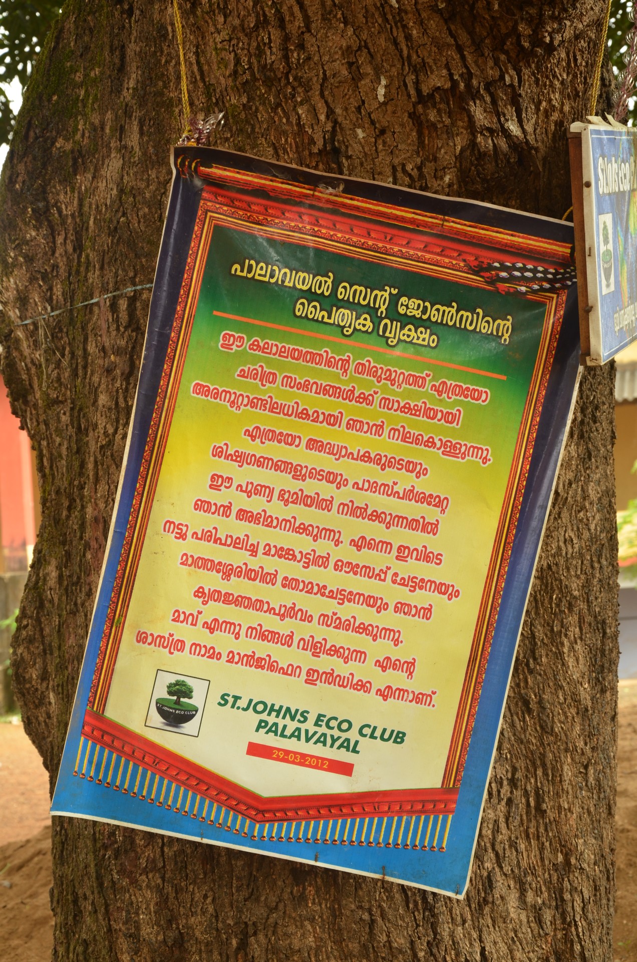 St. John's Higher Secondary — DSC_2759
