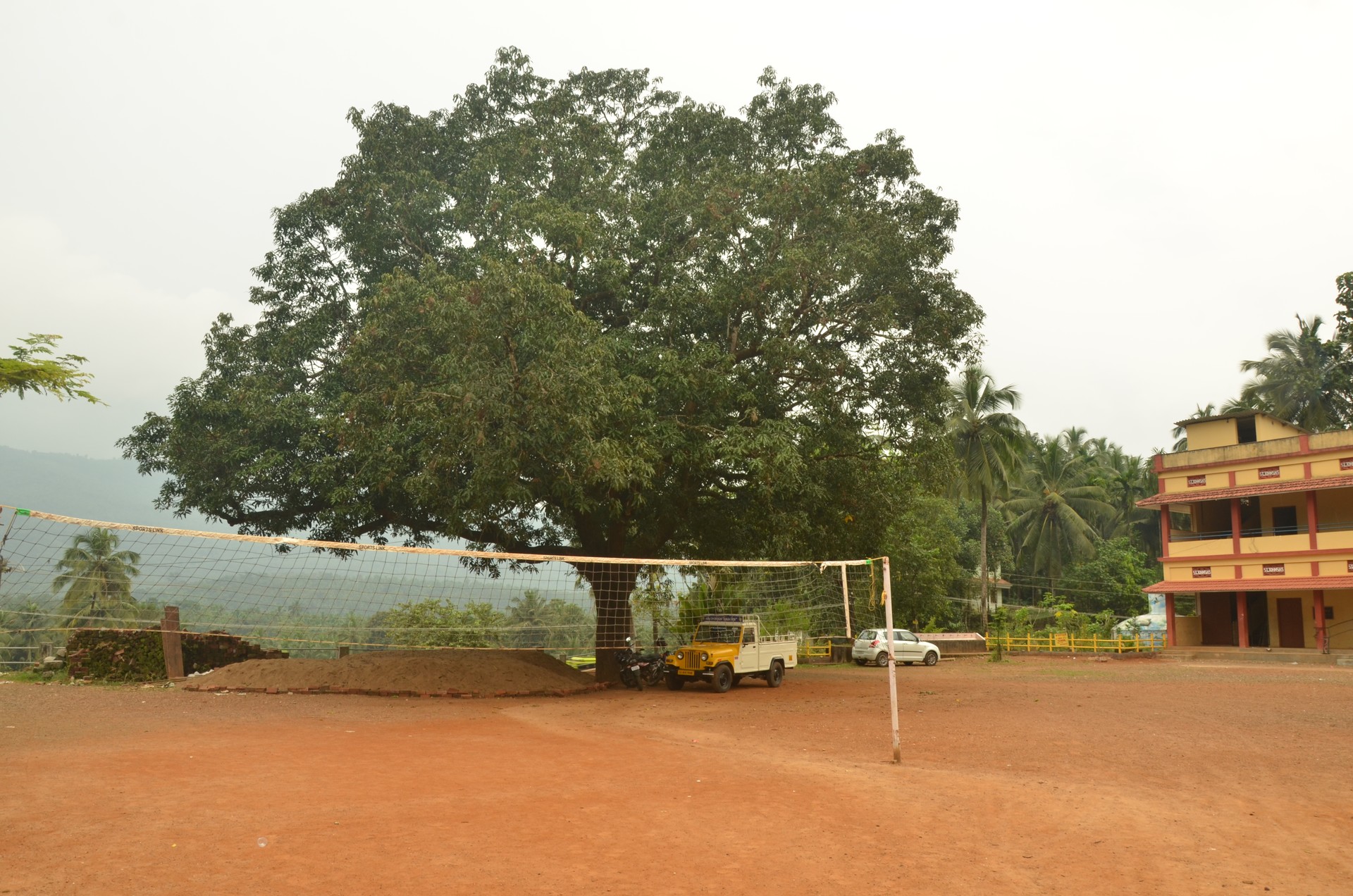 St. John's Higher Secondary — DSC_2770